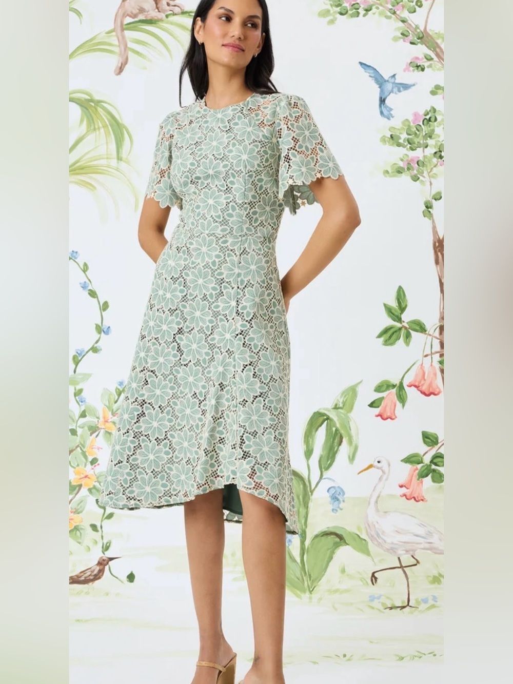 Maggy London Floral Lace High-Low Midi Dress Green Cream Flutter Sleeve Size 10